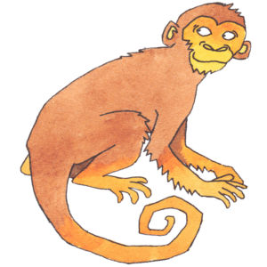 Chinese Astrology | Animal sign Monkey
